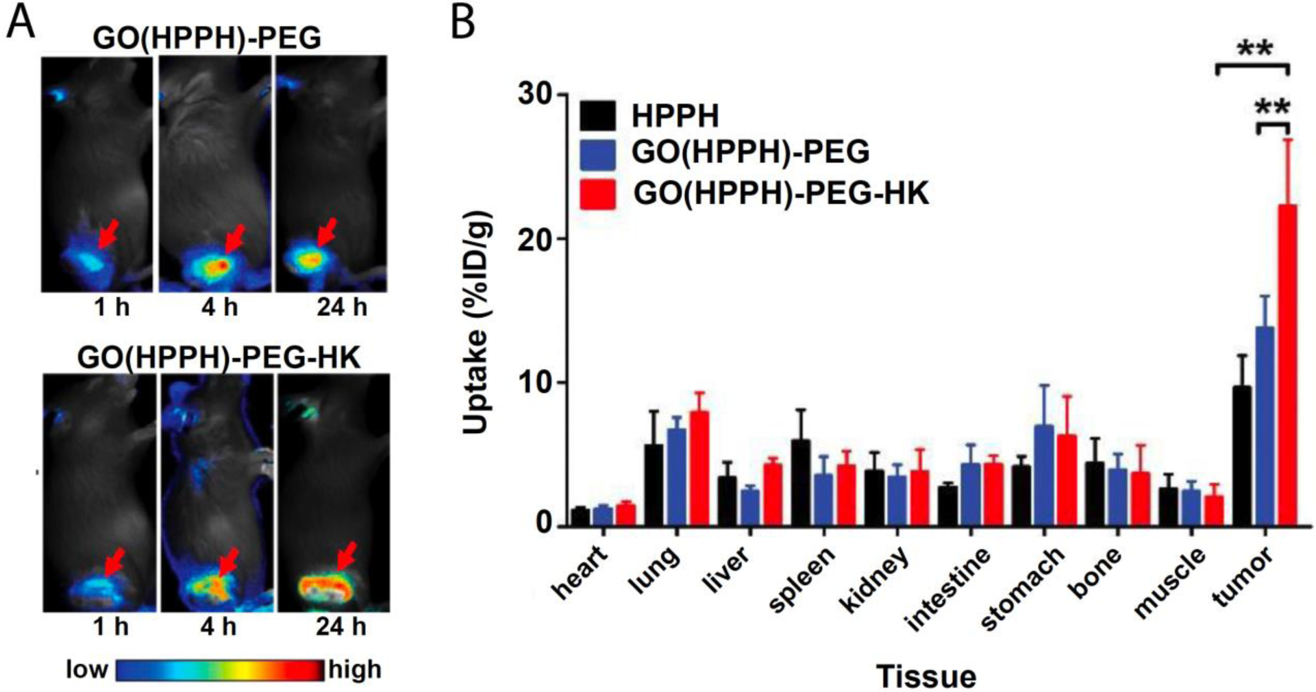 Figure 13: