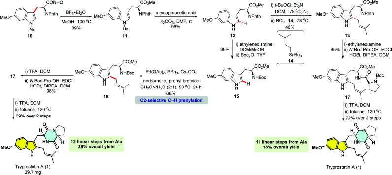 Scheme 2