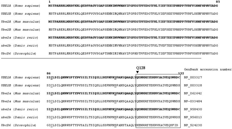 Figure  3. 