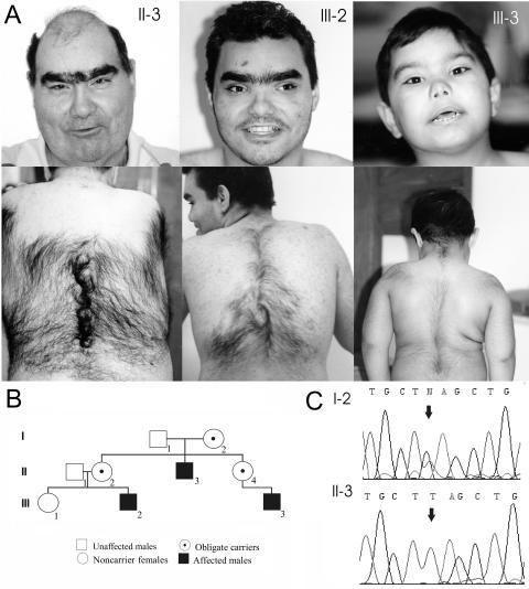 Figure  1. 