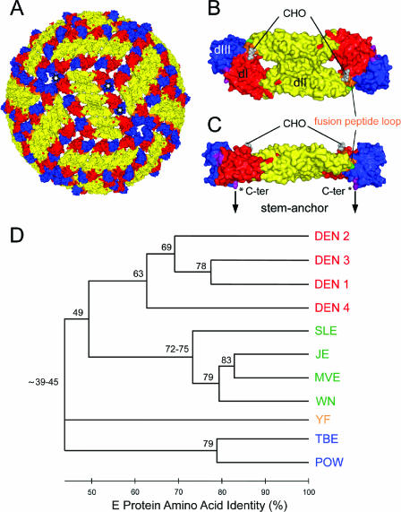 FIG. 1.