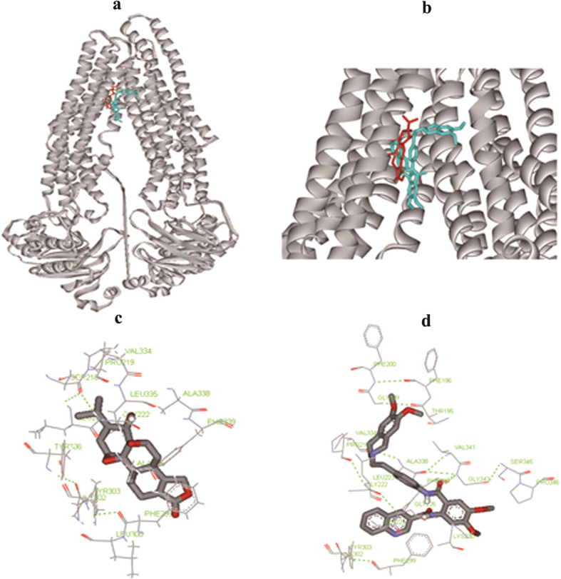 Figure 6