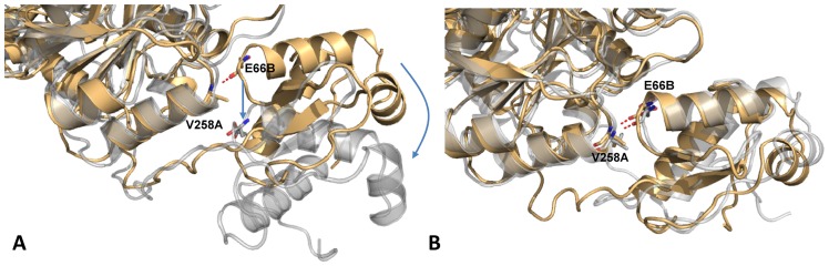 Fig 12