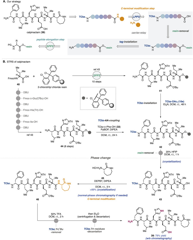 Scheme 6