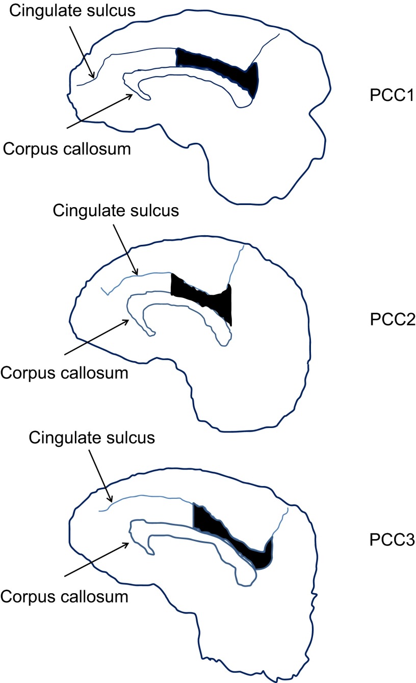 Fig. S1.