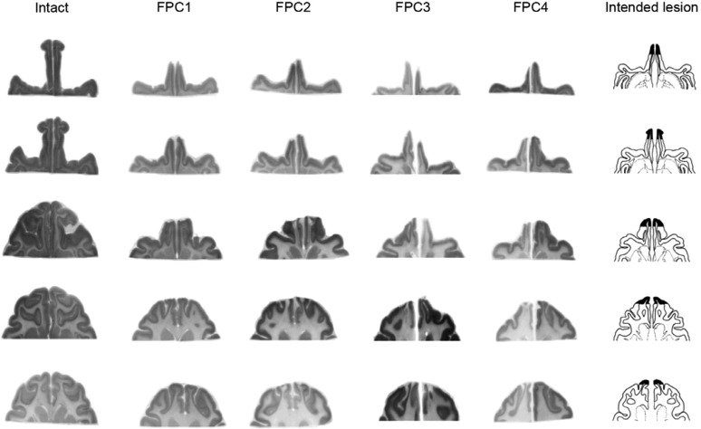 Fig. 2.