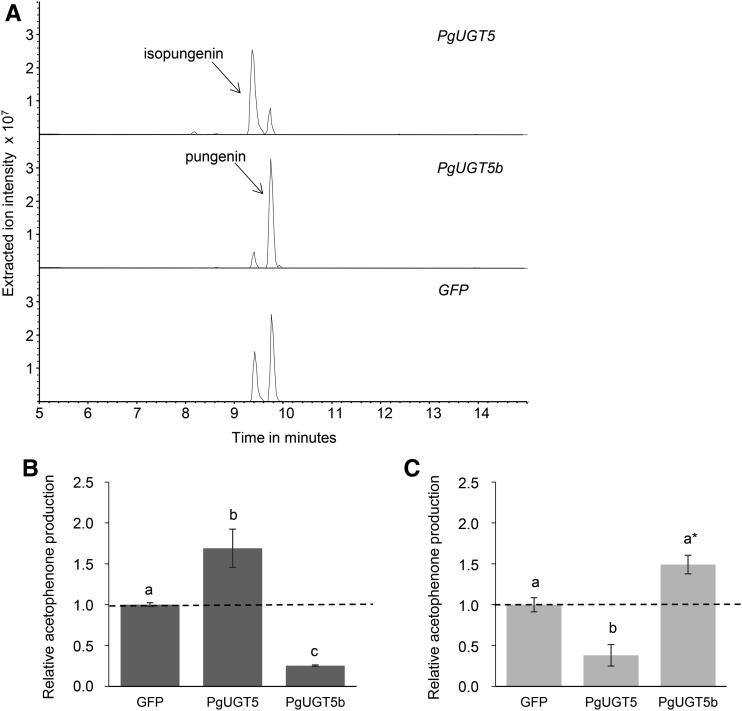 Figure 4.