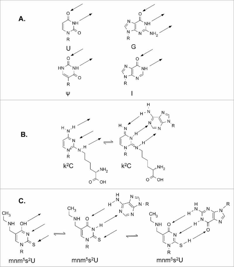 Figure 7.