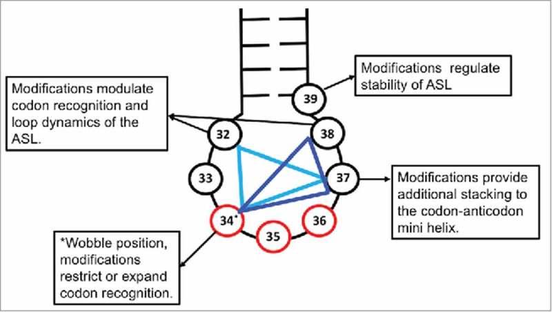 Figure 9.