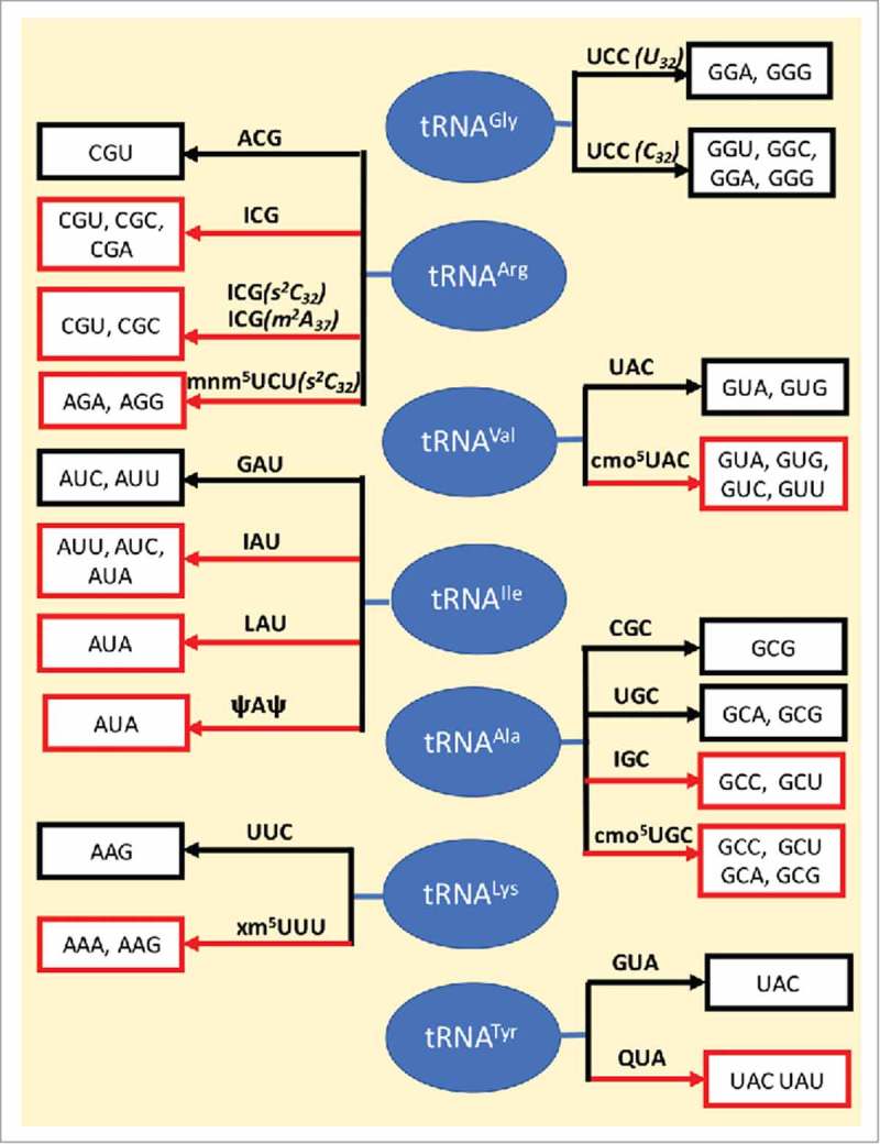 Figure 11.