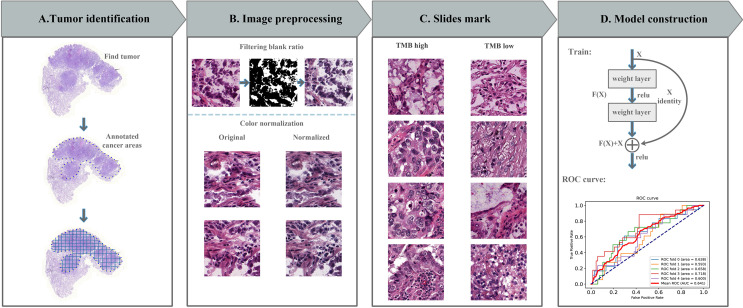 Figure 1