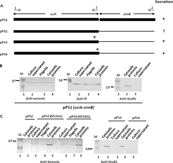 Fig 8