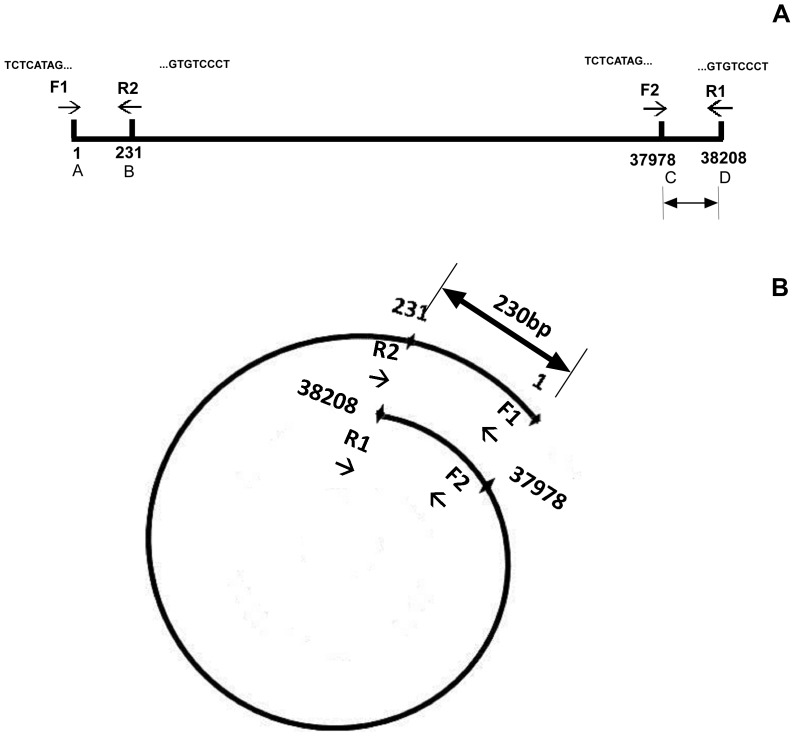 Figure 8