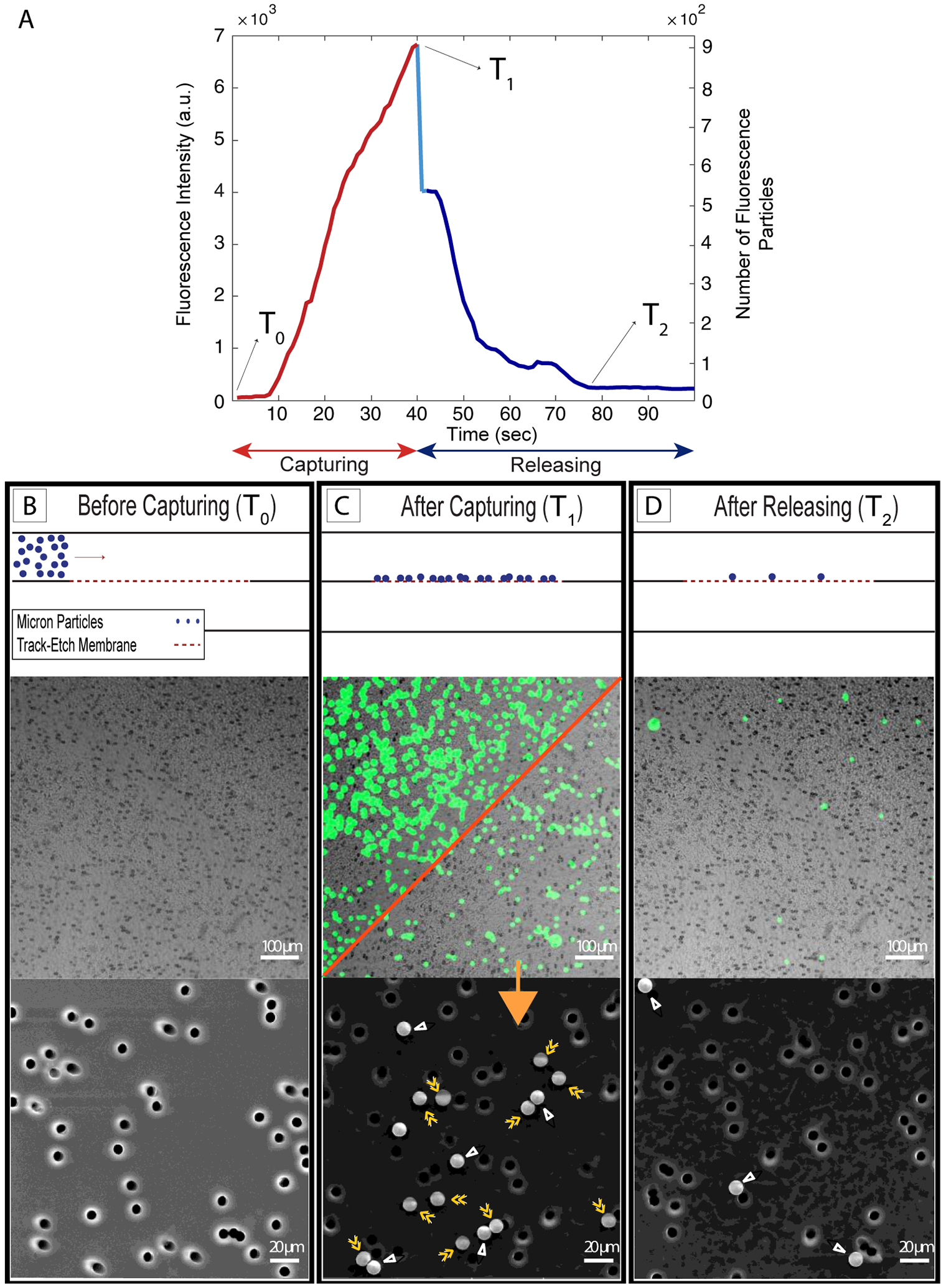 Figure 3: