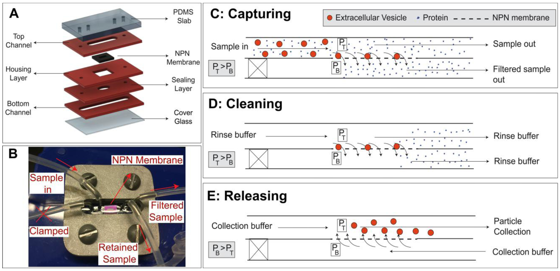 Figure 1: