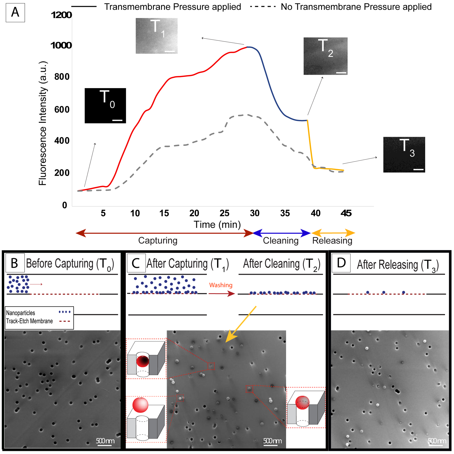 Figure 4: