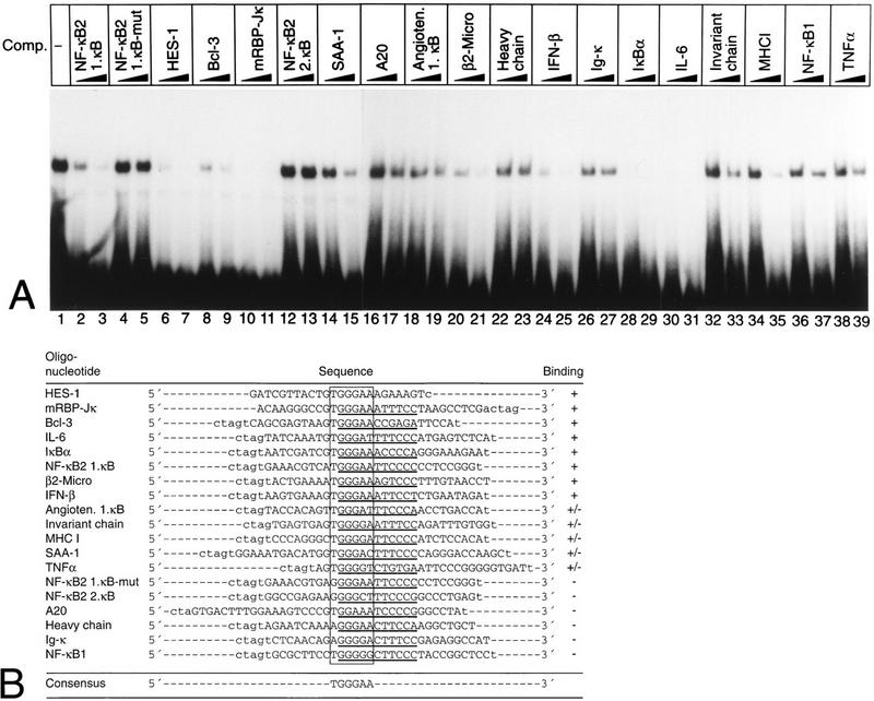 FIG. 10