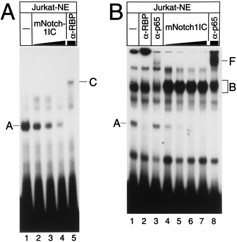 FIG. 6