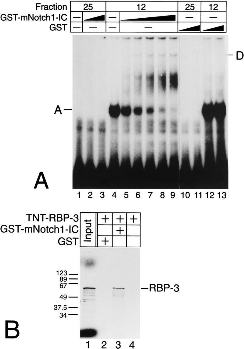 FIG. 7