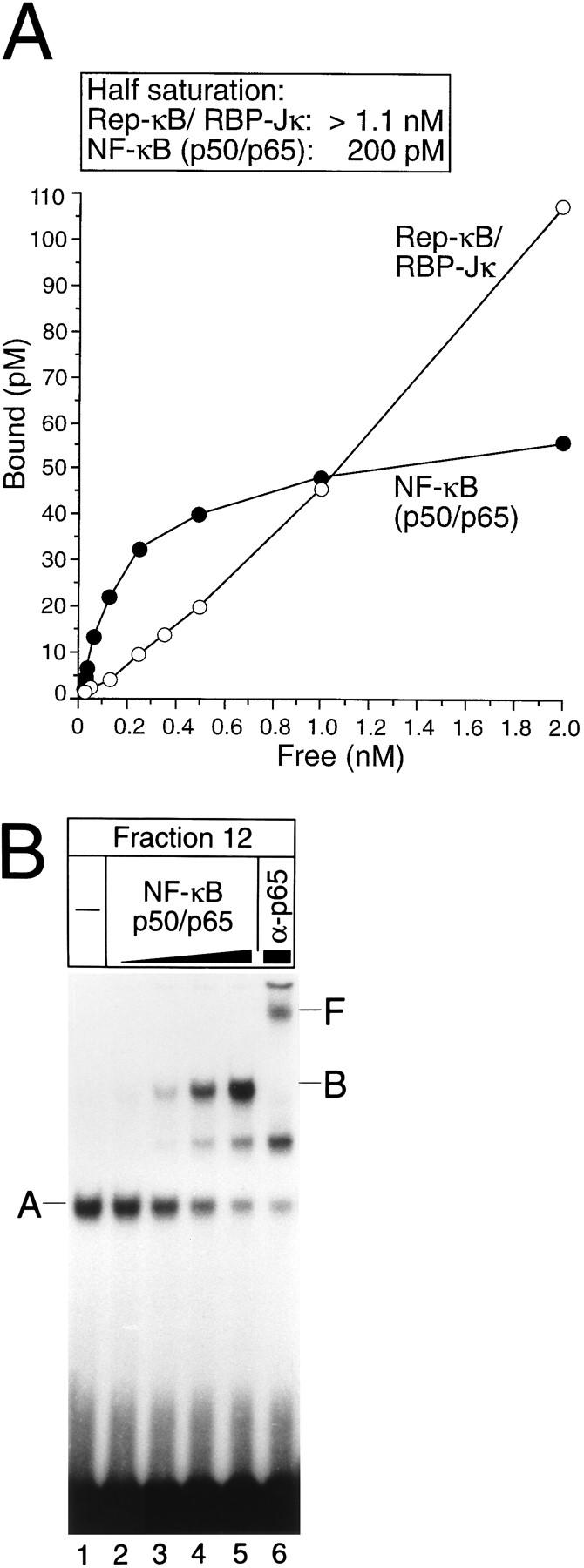 FIG. 5