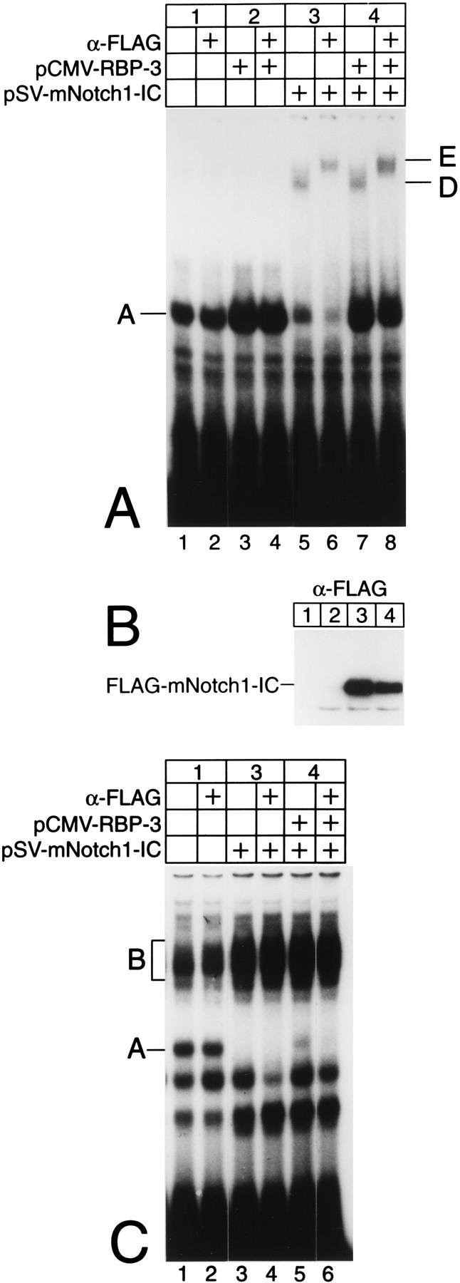 FIG. 8