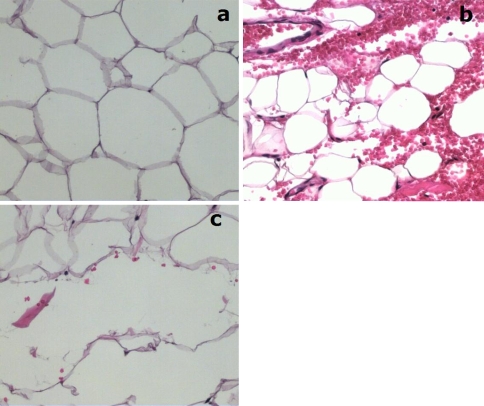 Fig. 6