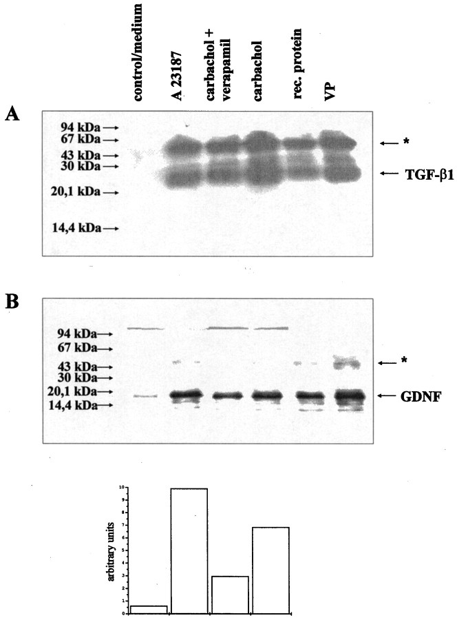 Fig. 10.