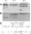 FIG. 5.