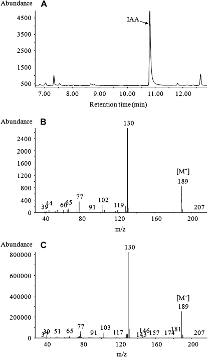 Figure 5.