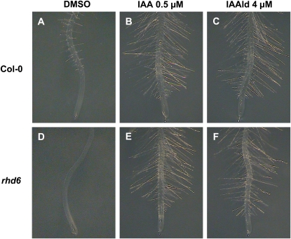 Figure 11.