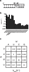 Figure 3—figure supplement 1.