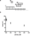 Figure 4—figure supplement 1.