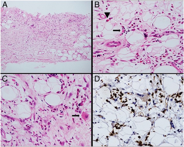 Figure 3