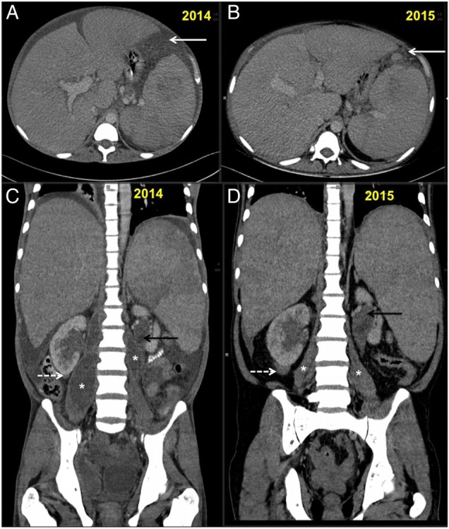 Figure 4