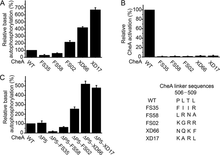 FIG 3