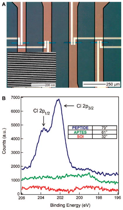 Peptide–Nanowire Hybrid Materials for Selective Sensing of Small ...