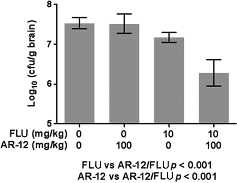 FIG 6