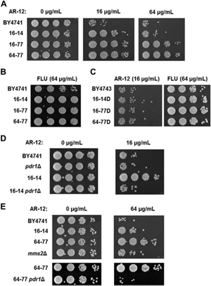 FIG 5