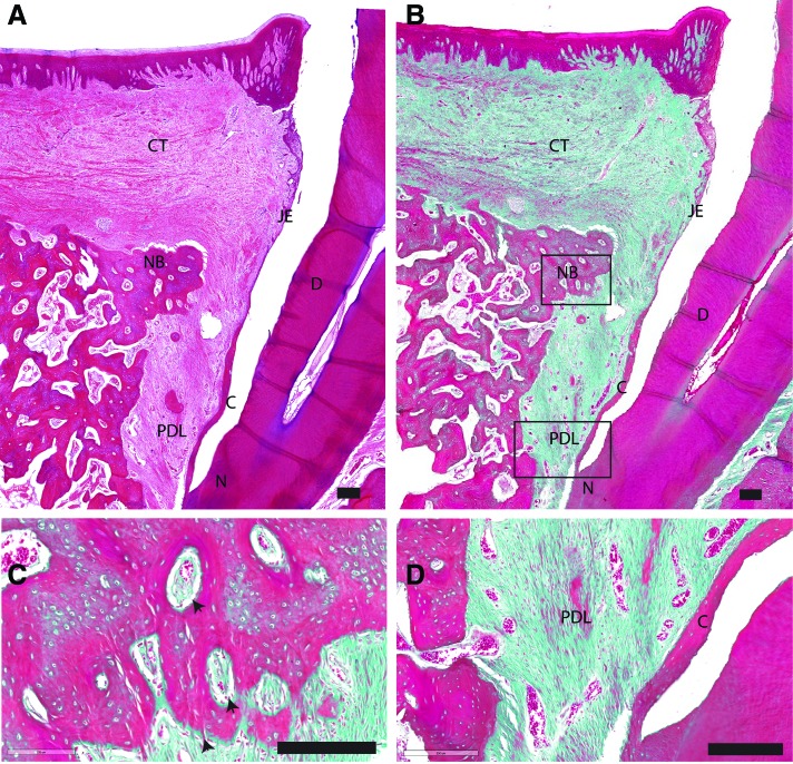 FIG. 3.