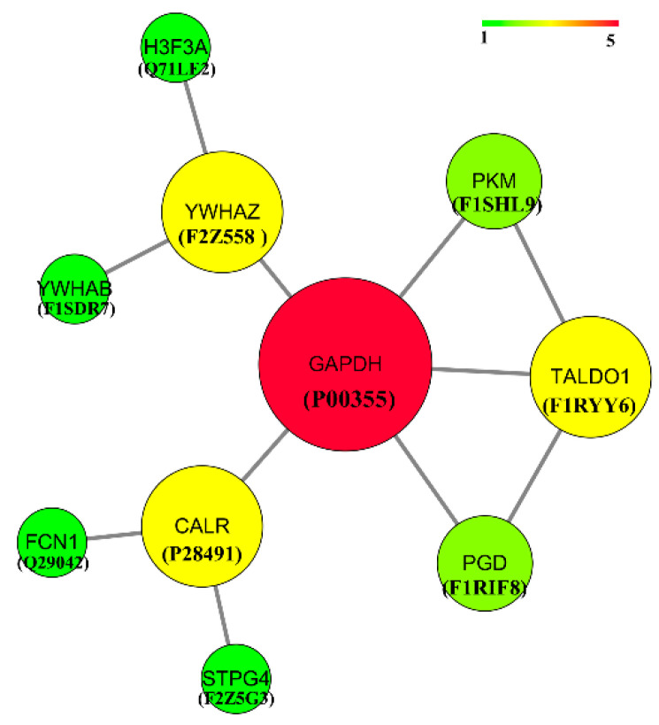 Figure 7