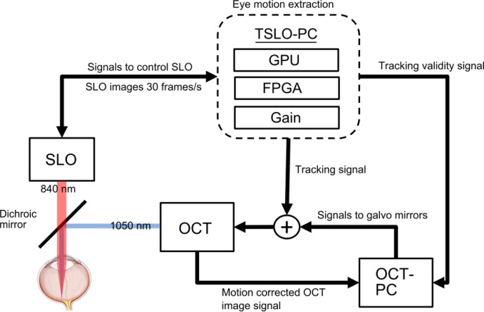 Fig. 2