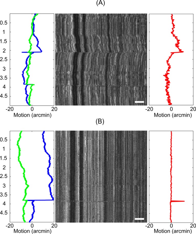 Fig. 8