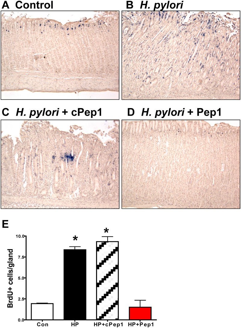 Fig 8