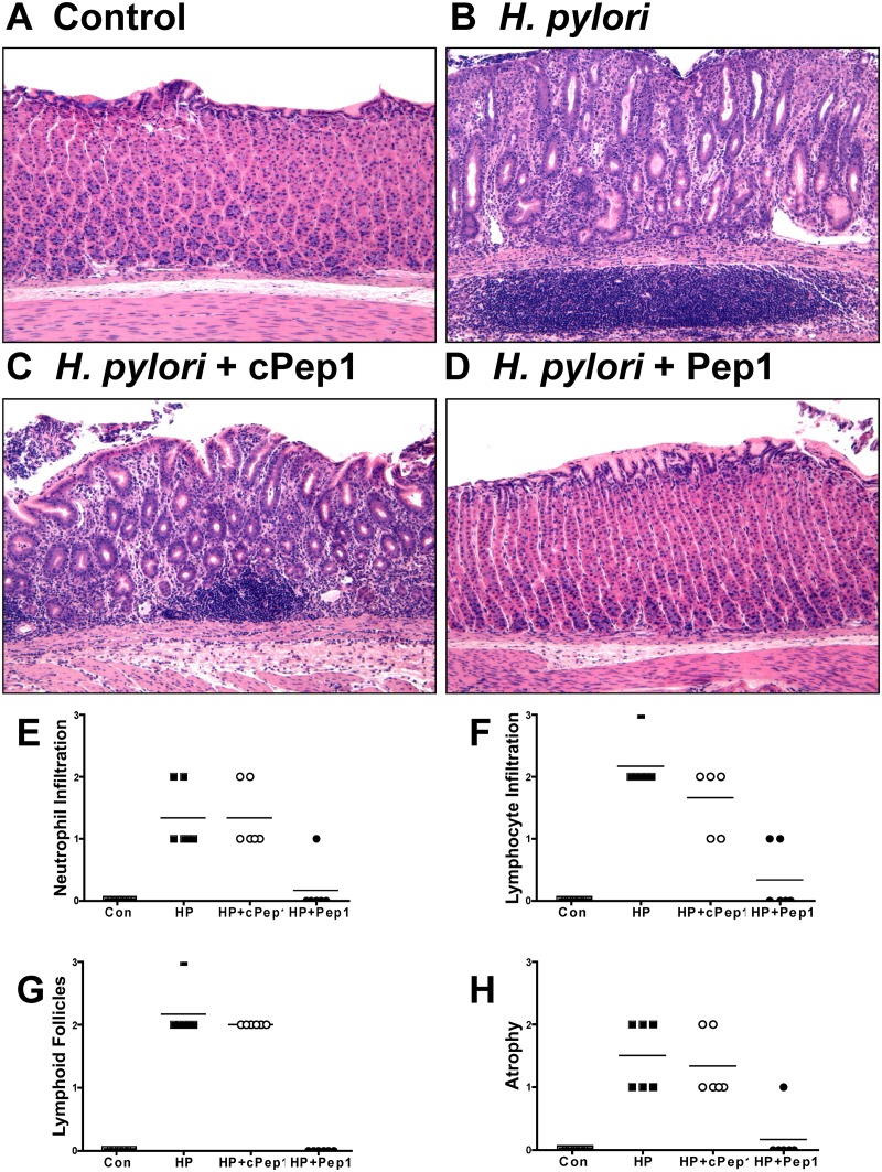 Fig 7