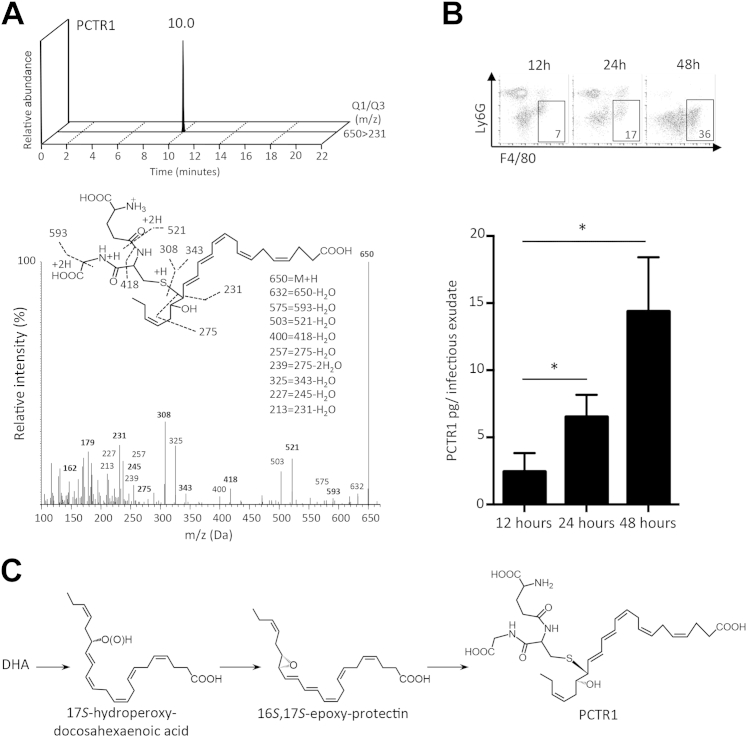 Figure 1