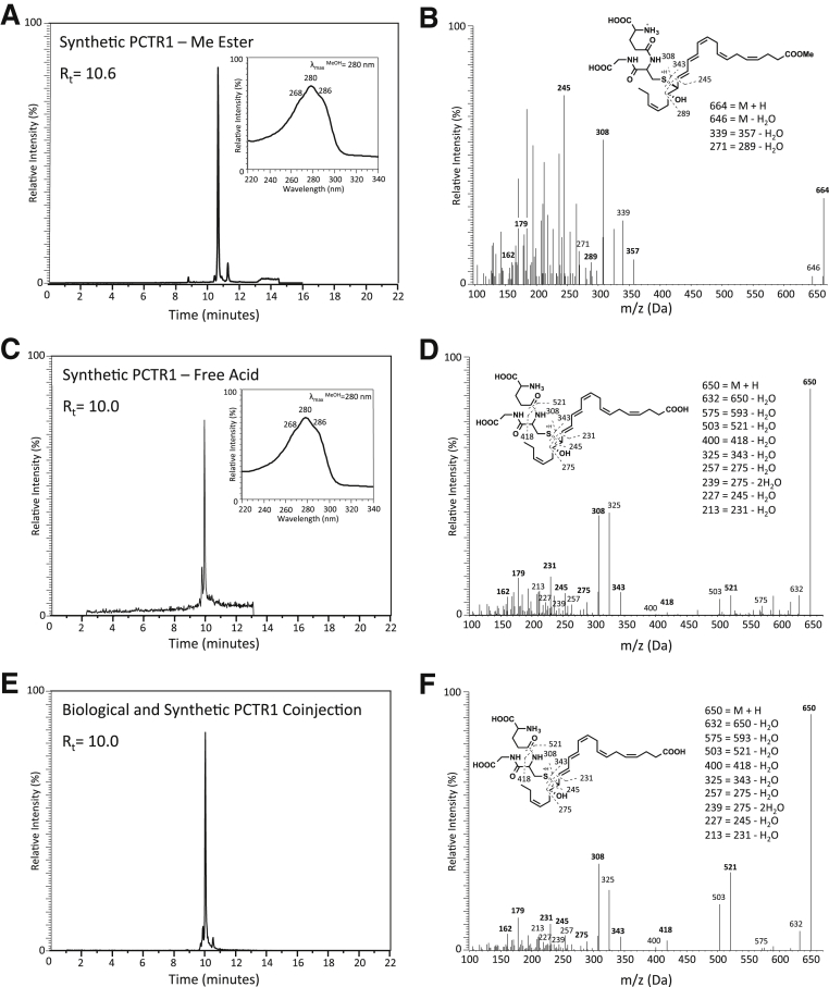 Figure 7