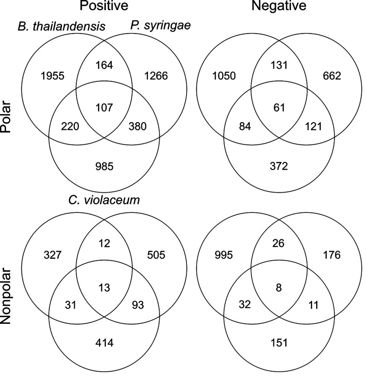 FIG 1