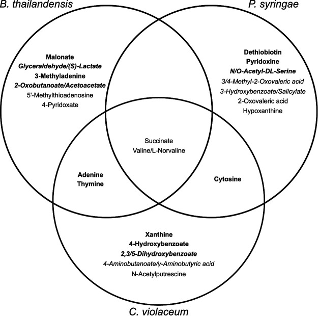 FIG 6