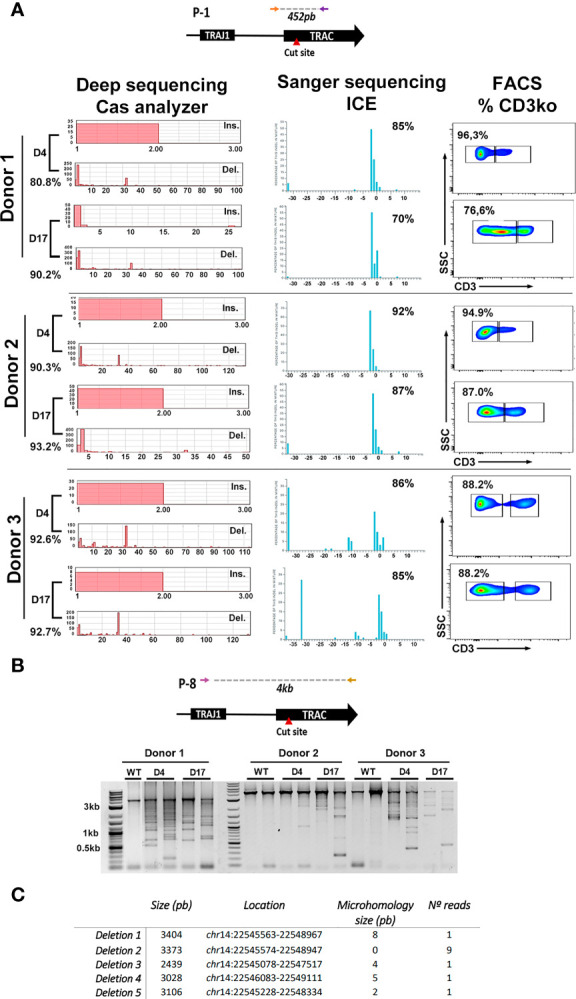 Figure 2