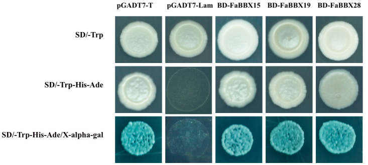 Figure 10